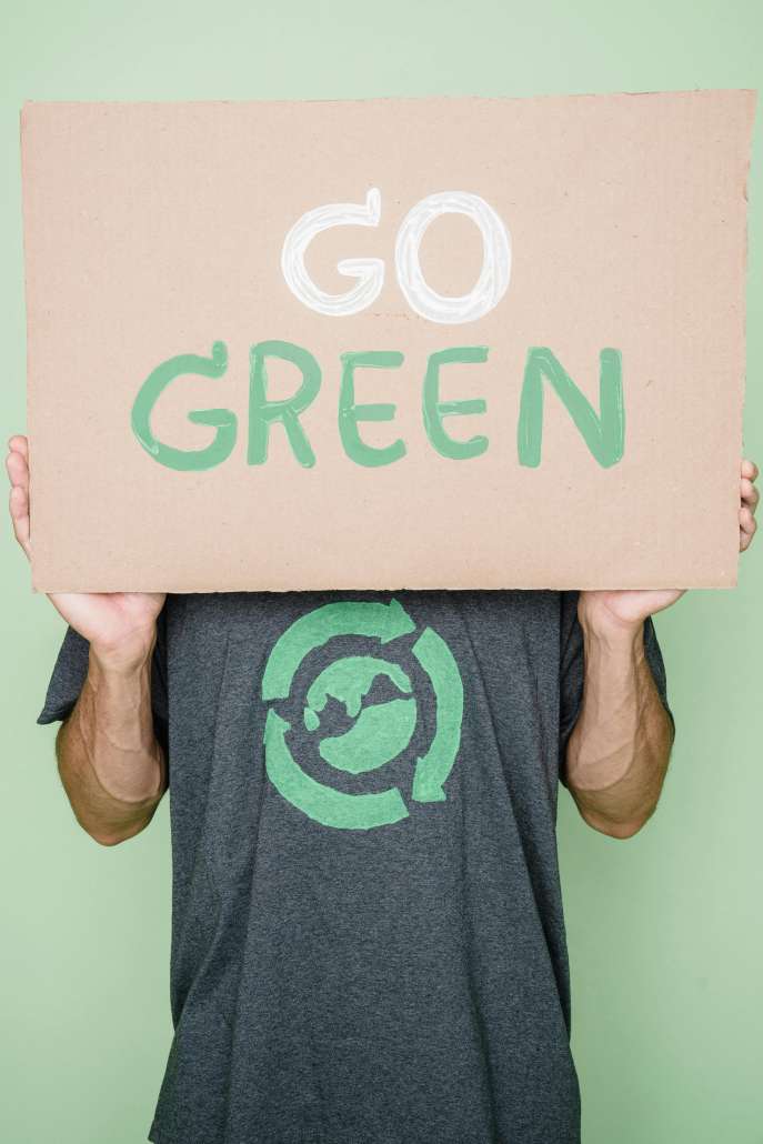 Person holding a brown box with "Go Green" painted on it.